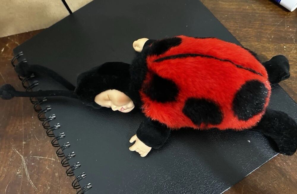 Vintage ANNE GEDDES Collectible Ladybug Sleeping Baby Doll